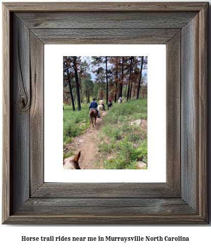 horse trail rides near me in Murraysville, North Carolina